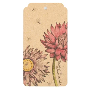 Everlasting Daisy Gift Tag