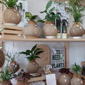 Kokedama Workshop