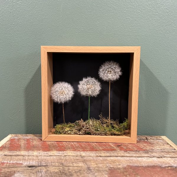 Three Wishes Frame