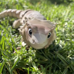 Bearded Dragon (Deluxe)