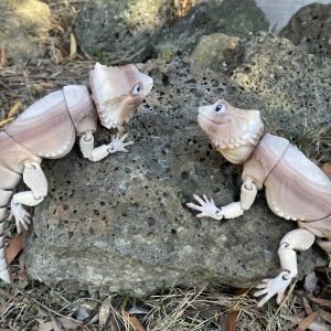 Bearded Dragon (Deluxe)