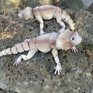 Bearded Dragon (Deluxe)