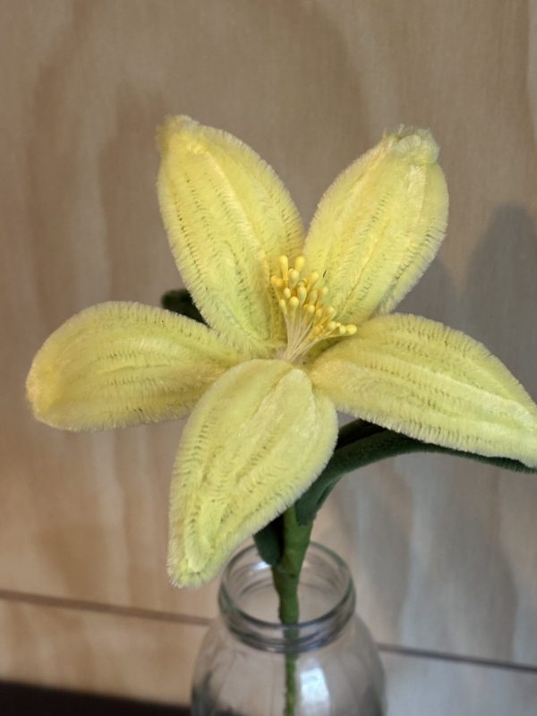 Lily Yellow