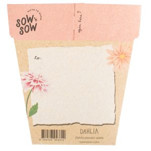 Gift of Seeds - Dahlia