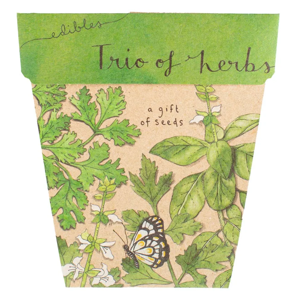 Gift of Seeds - Trio of Herbs