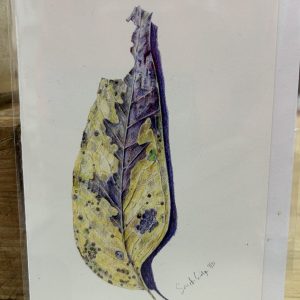 Sandra Gudze Art Greeting card- blank