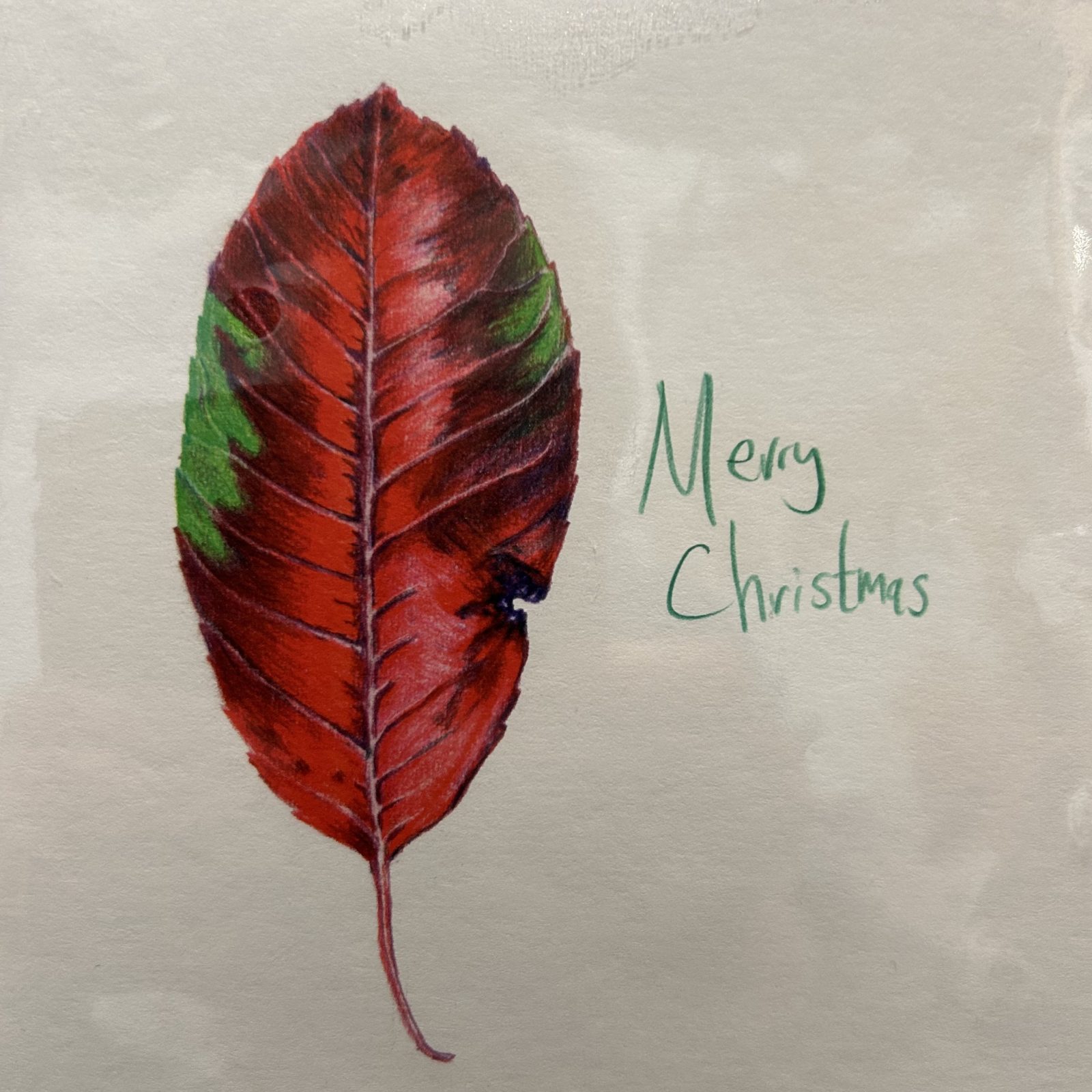 Christmas greeting card - Sandra Gudze Art
