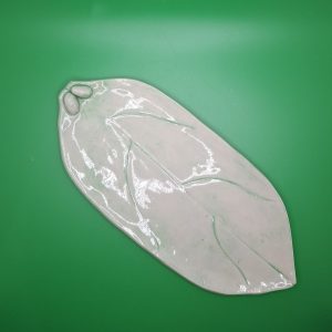 Plate/Tray Leaf