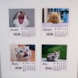 Animal 2026 Magnetic Calendar