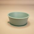 Silicone Bowl